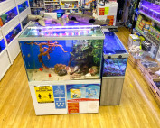 ecomms expert Wirral