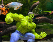 eCommerce Photographer Wirral